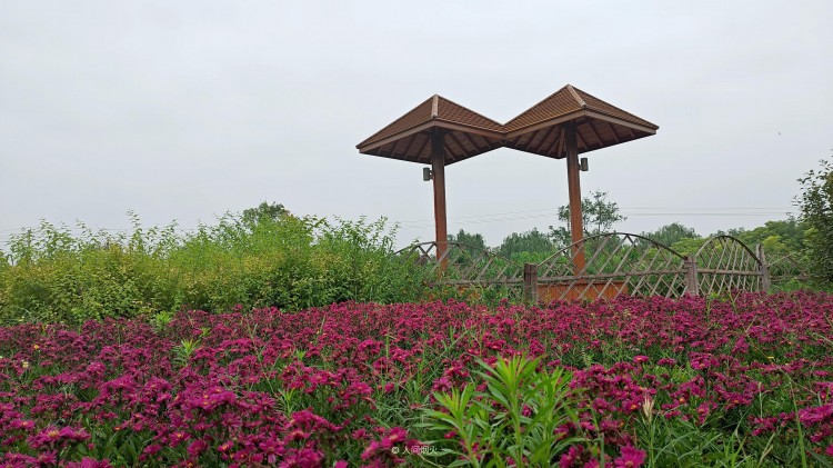 陌生人加好友,千万别通过